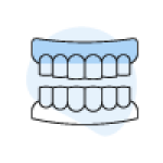 Illustration of upper and lower dental arches showing teeth alignment and bite.